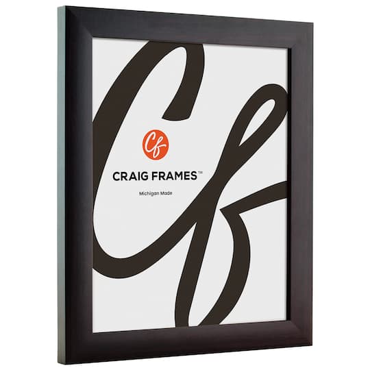 Craig Frames Contemporary Brazilian Walnut Picture Frame